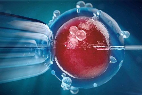 试管放2个胚胎的成活率，一般放几个？