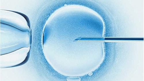 输卵管切除两边还可以怀孕吗？做试管婴儿可行吗？