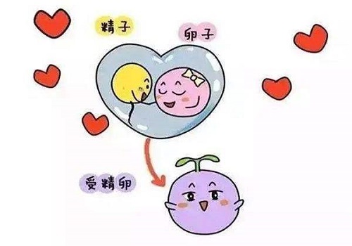 现如今的泰国试管婴儿为什么先进？