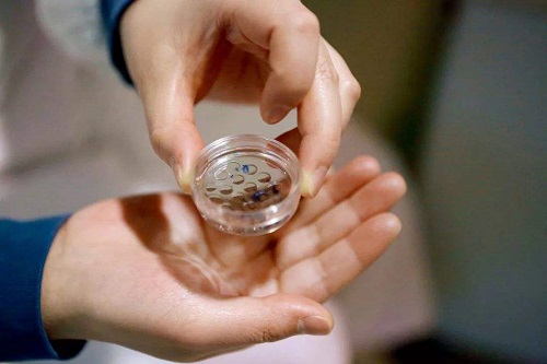 试管婴儿移植的时候医生知道吗？利弊有哪些？