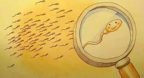 该怎样做试管婴儿？移植后的胚胎宝宝喜欢这样的准妈妈