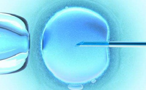 输卵管堵塞影响试管婴儿成功率吗