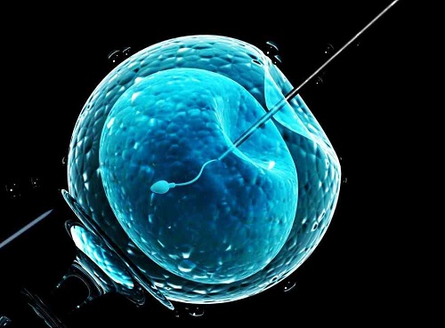 胚胎级别对泰国第三代试管婴儿成功率的影响？