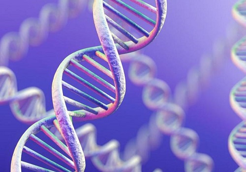 4点分析，深入浅出解读美国试管婴儿注意事项