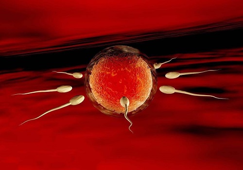 美国HRC试管婴儿专家辟谣：多移植几个胚胎成功率会提高！