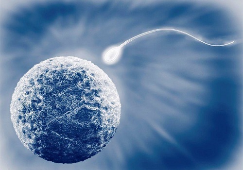 美国试管婴儿冻胚移植 三大优势凸显