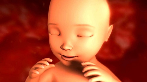 该怎样做试管婴儿？移植后的胚胎宝宝喜欢这样的准妈妈