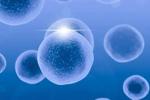 男性精子问题泰国试管婴儿助孕