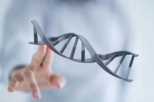试管婴儿治疗过程哪些因素关键？