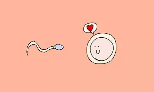 美国试管婴儿专家告诉您：身体都达标，囊胚不着床的原因