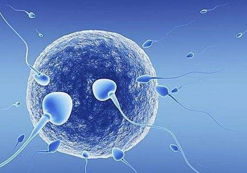泰国试管婴儿提高成功率要如何降低精子DNA碎片率？